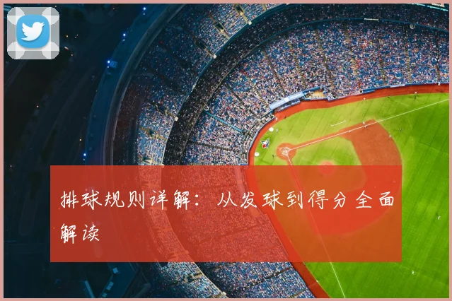 排球规则详解：从发球到得分全面解读