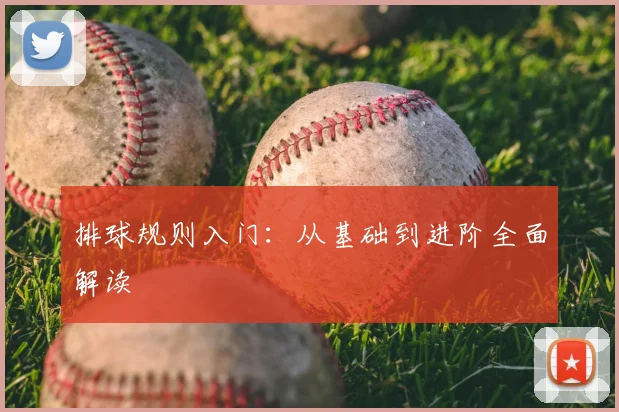 排球规则入门：从基础到进阶全面解读