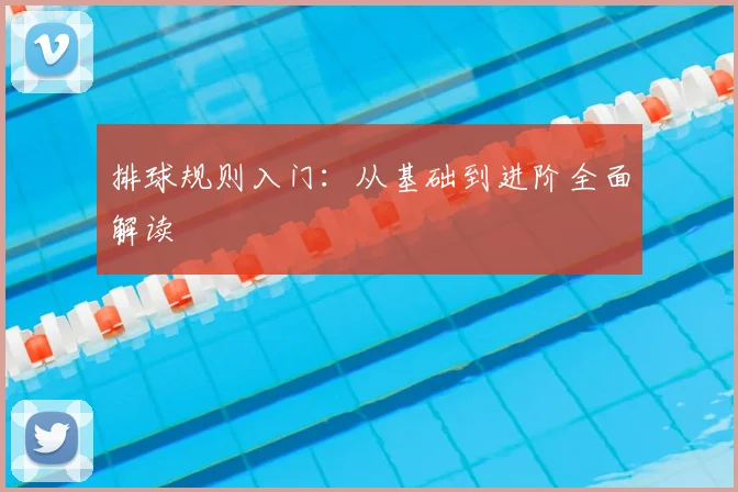 排球规则入门：从基础到进阶全面解读