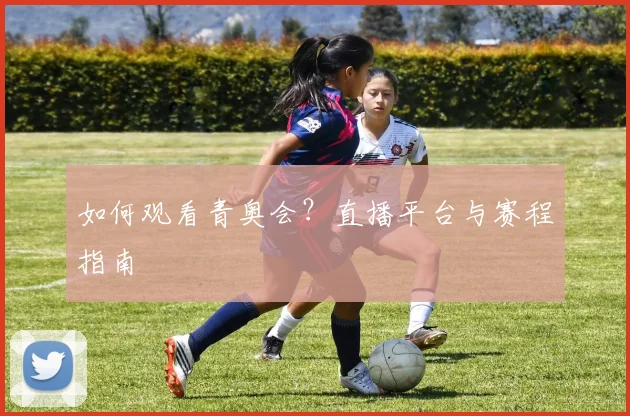 如何观看青奥会?直播平台与赛程指南