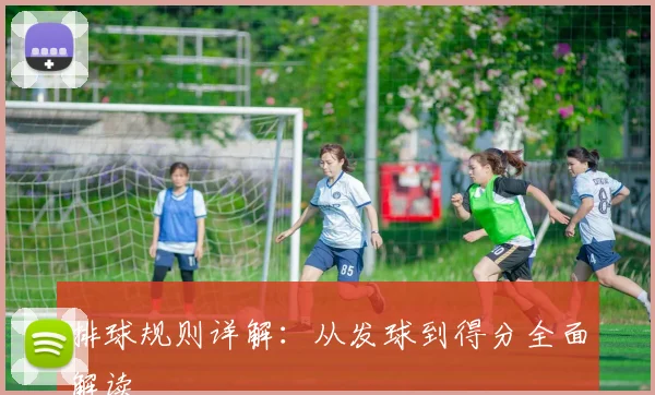 排球规则详解：从发球到得分全面解读