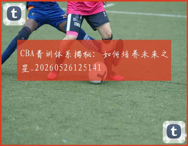 CBA青训体系揭秘:如何培养未来之星_20260526125141